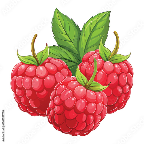 A bright, colorful illustration of ripe red raspberries with green leaves on a white background