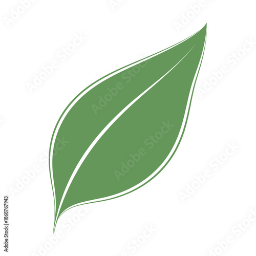 Simple stylized illustration of a single fresh green leaf shape with distinct white vein outlines against a bright white background