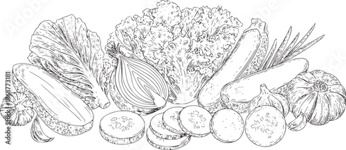Detailed black and line of various fresh vegetables arranged together lettuce onion