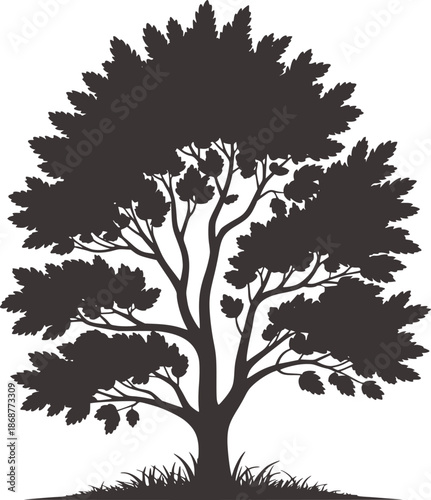 Minimalist black and silhouette of a dense leafy tree grass leaves branches trunk