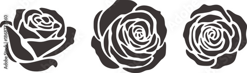 Monochrome artistic rose in varying bloom stages roses rosebud black