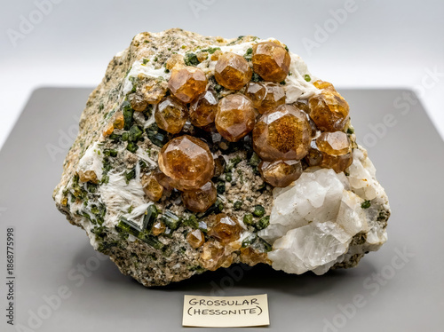 A collectible geological specimen of orange grossular garnet variety hessonite crystals on a skarn mineral matrix with green vesuvianite, fibrous wollastonite and large white calcite crystals.