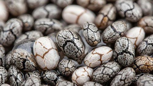 Macro view of wet chia seeds with gelatinous coating for health drink and superfood concept