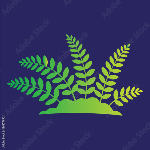 ii77t isolated on white background