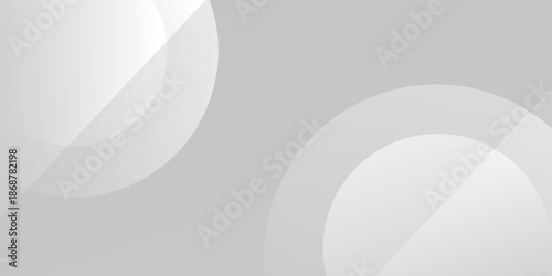 Abstract white and gray color background. Eps10 vector