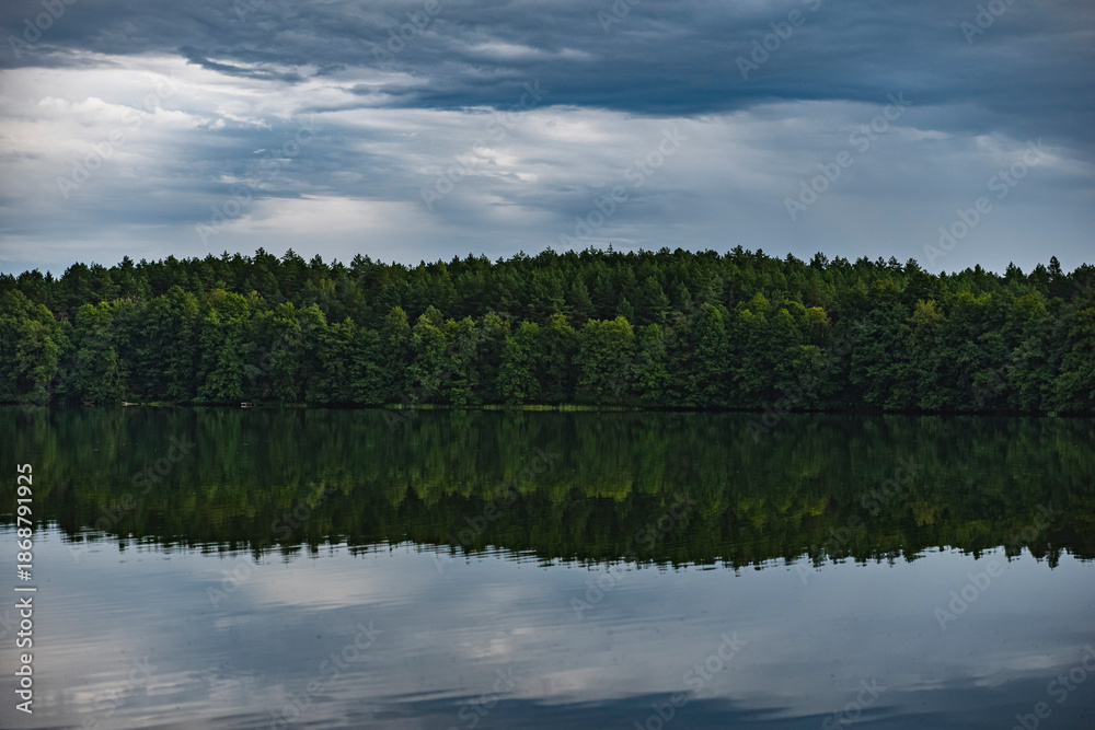 Obraz premium The landscape of the lake with the reflection of the forest that grows on the shore