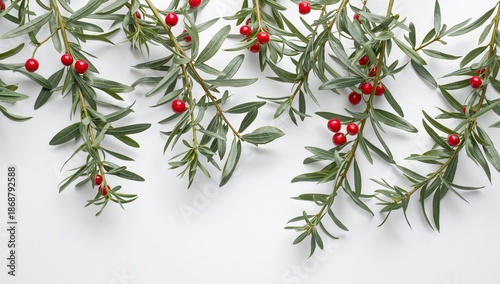 Holiday Decorations With Red and Silver Ornaments on a Green Branch in a Simp...