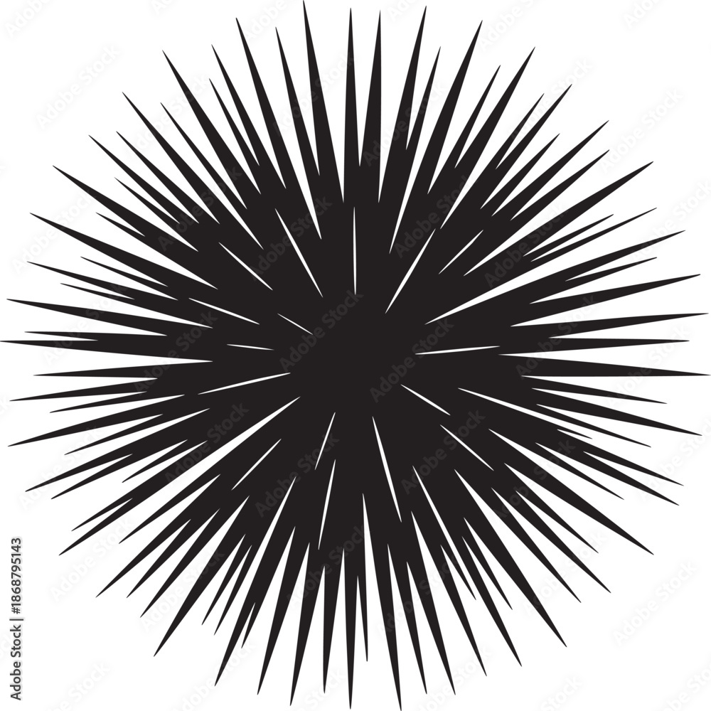 Fototapeta premium A black spiky circular shape with sharp lines radiating outward on a plain white background illustration