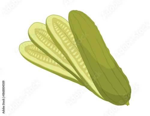 Homemade pickled cucumber. Clip-art of marinated food for packaging, label, menu, signboard or showcase. Fermented veggies, crunch gherkin with salt. Healthy vegetarian food