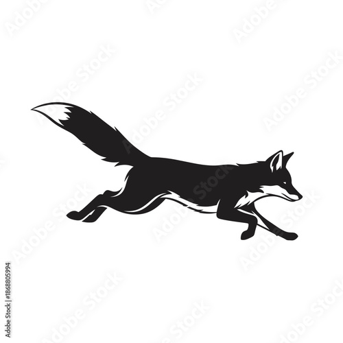 Black Fox Running Fast Sideways View.