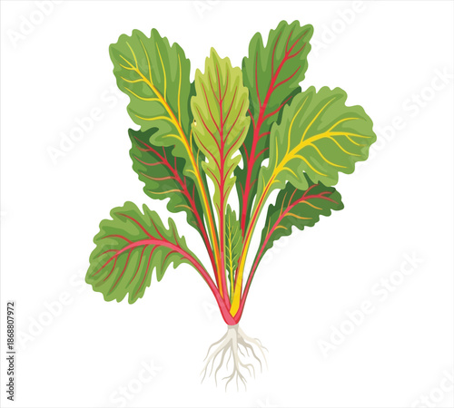 A vibrant illustration of leafy beet greens with distinct red veins