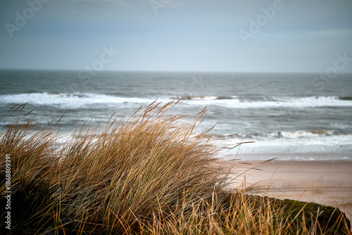 Foto A windblown, golden grass field overlooking the moody, crashing waves of the Pacific Ocean