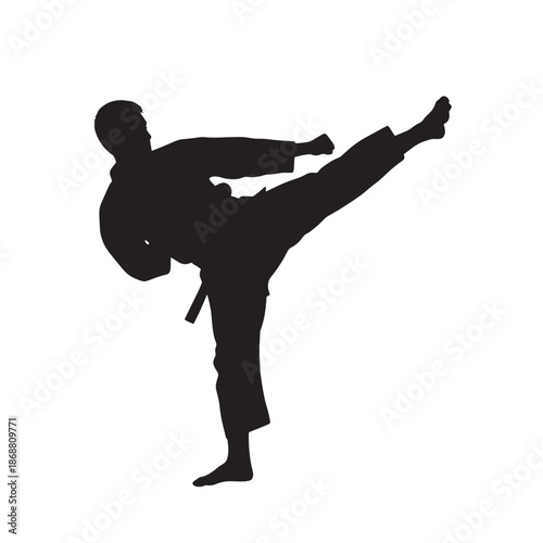 Martial arts master karate high kick silhouette