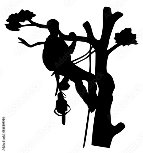 Tree Arborist Vector