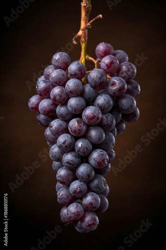 Fresh Grapes Hanging on a Vine With Dark Background in a Fruit Display