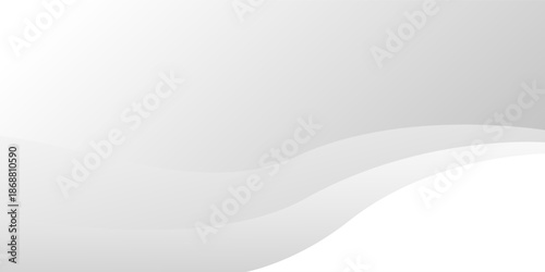 White and gray wave layer abstract background. texture white pattern. vector illustration
