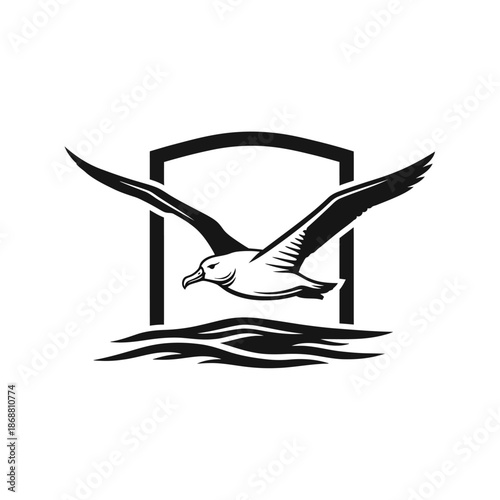 Seagull flying over the water.