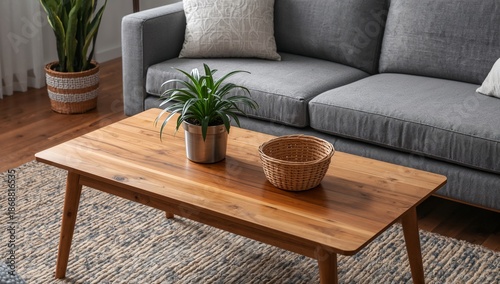 Green Plant in Woven Pot on Wooden Coffee Table in Living Room With Gray Couc...