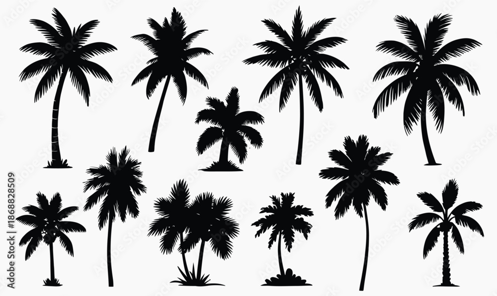 Fototapeta premium Collection of black silhouette palm trees on white background