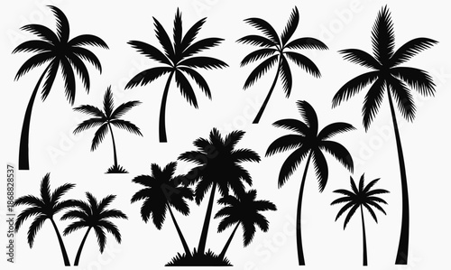Collection of various palm tree silhouettes