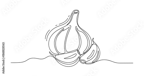 One-line drawing of garlic with whole bulb and cloves. No editable strokes