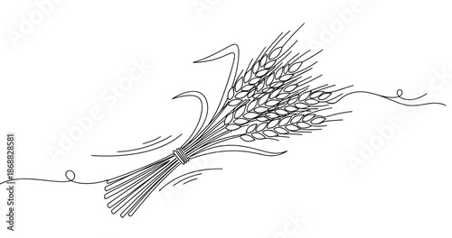 Linear drawing of wheat sheaf with elegant detailing in minimalist style. No editable strokes