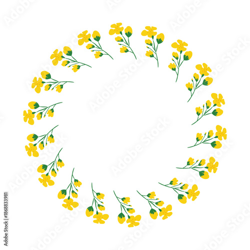 Cute round wreath with hand drawn canola rapeseed flowers isolated on white background.