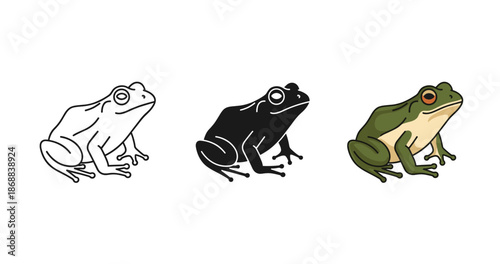 Vector frog variations: outline, silhouette, and colored illustrations