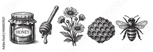 A detailed, hand-drawn illustration featuring a jar of honey, a honey dipper, daisy flowers, a honeycomb, and a bee, rendered in a classic black and white etching style.
