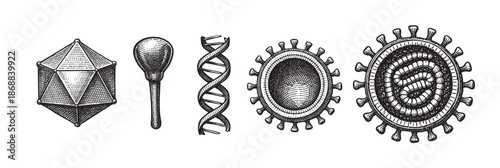 A collection of scientific illustrations in a vintage, etched style, featuring an icosahedron, a ladle, a DNA double helix, and two types of virus or bacteria.