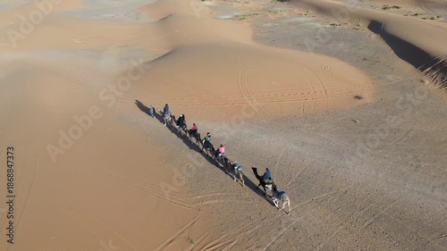Sahara Desert Sand Camels Animal Dunes Erg Chebbi Merzouga Morocco Africa Caravan Vast Arid Landscape Nature Running Trail Endurance Sports Warm Outdoor Activities Adventure Travel Scenic Wilderness