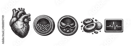 A medical illustration in a vintage engraving style depicts a human heart, cross-sections of arteries with plaque, red blood cells, and an electrocardiogram waveform.