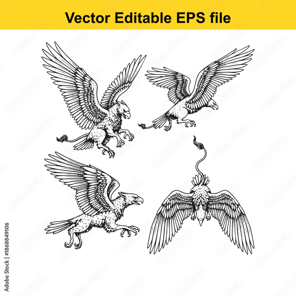 Obraz premium collection of four eagle illustrations in various dynamic flying poses isolated on white background