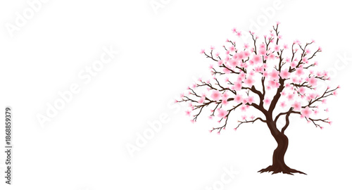 tree, cherry, blossom, sakura, flowers, bloom, floral, spring, pink, petals, nature, plant, garden, park, landscape, scenery, outdoor, natural, beauty, romantic, delicate, soft, elegant, peaceful, cal