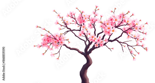 cherry, blossom, tree, sakura, bloom, flowers, floral, spring, pink, petals, nature, plant, garden, park, landscape, scenery, outdoor, natural, beauty, romantic, soft, delicate, elegant, peaceful, cal
