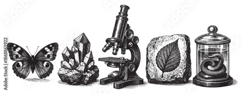 A vintage black and white illustration showcases a collection of scientific specimens including a butterfly, crystals, a microscope, a fossilized leaf, and a snake in a jar.