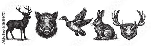 A monochromatic collection of vintage engraved illustrations featuring a deer, wild boar head, flying duck, sitting rabbit, and deer antlers on a shield.