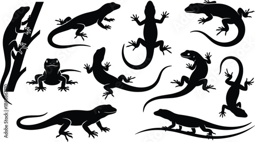 Set of lizard and gecko silhouette icons for wildlife and nature design projects featuring various reptile species in different poses including crawling