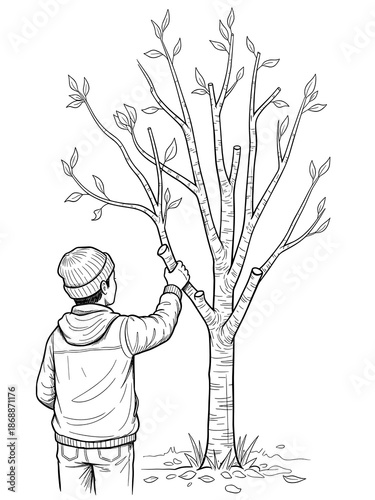 Man pruning cherry tree with hand saw in black and white for cherry tree pruning tutorials and seasonal garden care