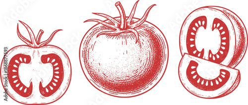 Three detailed vintage tomato illustrations in black and white on a white background
