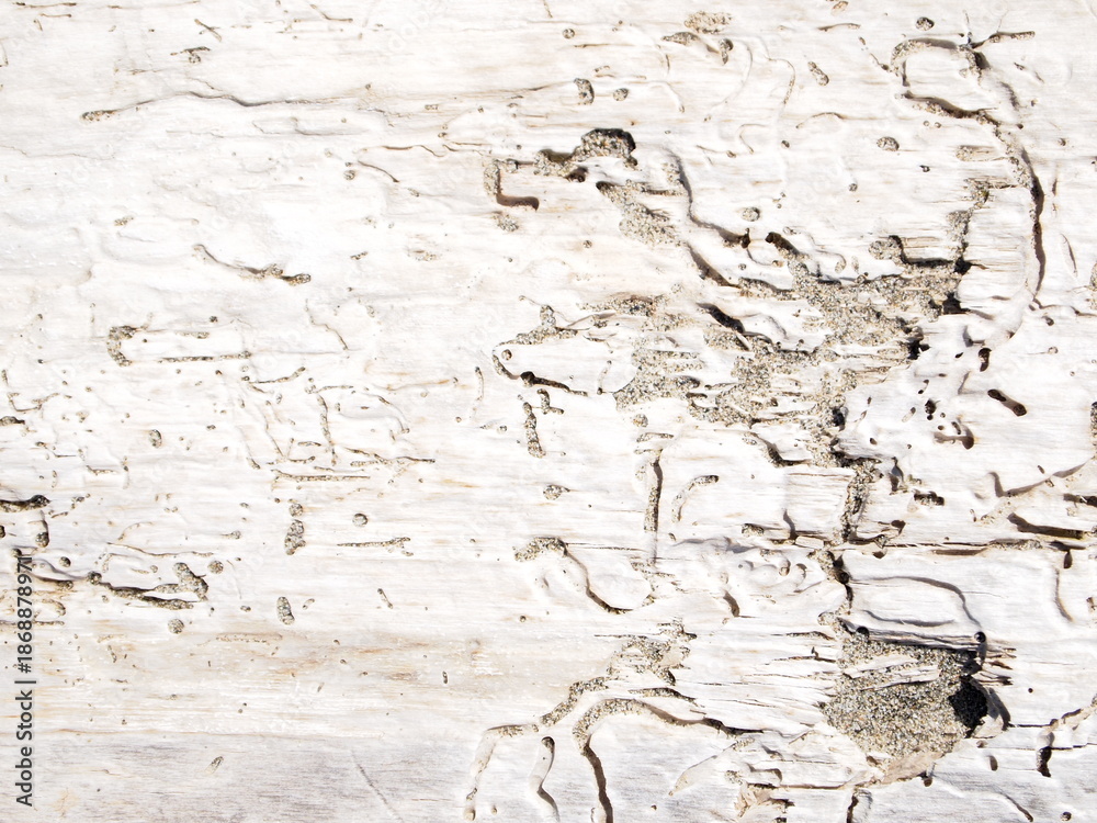Fototapeta premium old wall texture