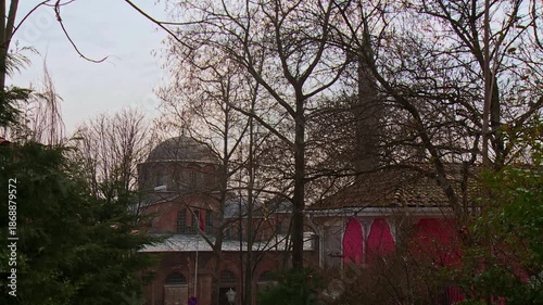 Kariye Mosque Seen Through Trees in Istanbul