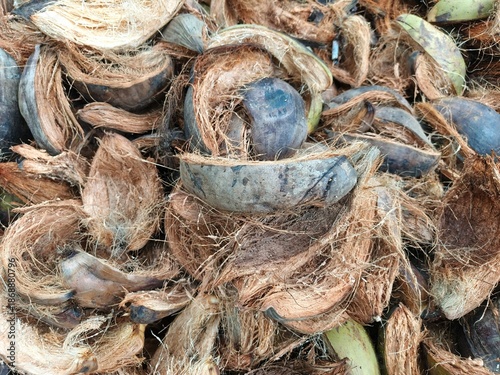 Photography Close-up coconut husks scattered on the ground, wasted.