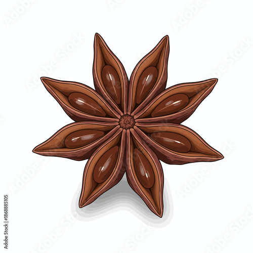 Illustration of a star anise spice pod showing eight chambers and seeds