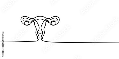 A simple line drawing of a female reproductive system, including the uterus and ovaries.