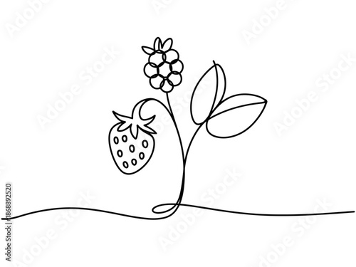A simple line drawing of a strawberry and blackberry plant with leaves on a white background