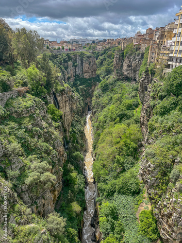Vertical view into the deep and narrow Rhumel River gorge with steep cliffs and city buildings on the edge.