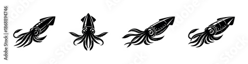 Squid vector icons set. sea life, marine, ocean symbols