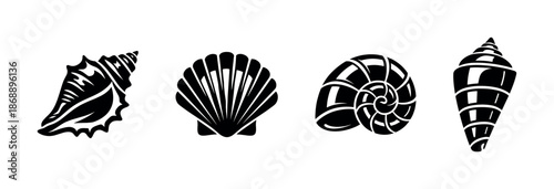 Seashell vector icons set. marine, ocean, shellfish symbols