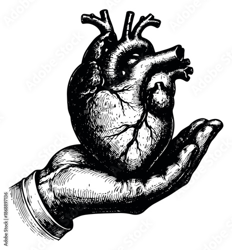 Hand drawn line art illustration of an anatomical human heart held in a hand depicting care and offering for medical, health, or emotional concepts